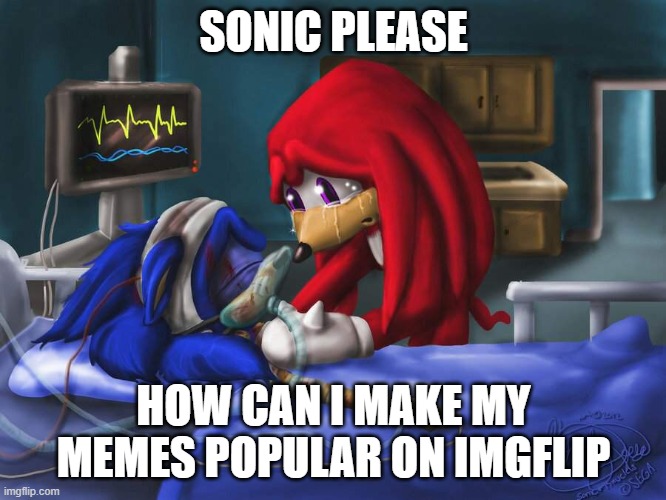 Please tell me | SONIC PLEASE; HOW CAN I MAKE MY MEMES POPULAR ON IMGFLIP | image tagged in sonic please,sonic,knuckles,memes,funny memes,please | made w/ Imgflip meme maker