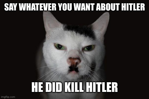 Hitler Cat | SAY WHATEVER YOU WANT ABOUT HITLER HE DID KILL HITLER | image tagged in hitler cat | made w/ Imgflip meme maker
