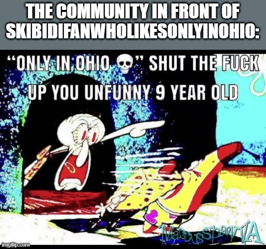title | THE COMMUNITY IN FRONT OF SKIBIDIFANWHOLIKESONLYINOHIO: | image tagged in only in ohio shut up you 9 year old | made w/ Imgflip meme maker