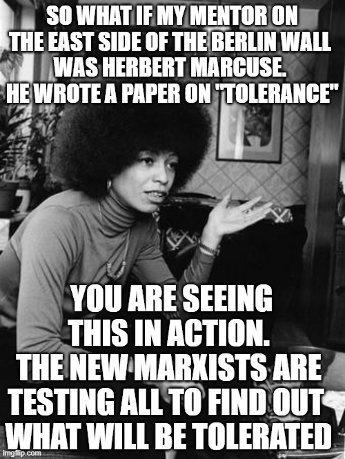 Angela Davis | SO WHAT IF MY MENTOR ON THE EAST SIDE OF THE BERLIN WALL 
WAS HERBERT MARCUSE. 
HE WROTE A PAPER ON "TOLERANCE" YOU ARE SEEING THIS IN ACTIO | image tagged in angela davis | made w/ Imgflip meme maker