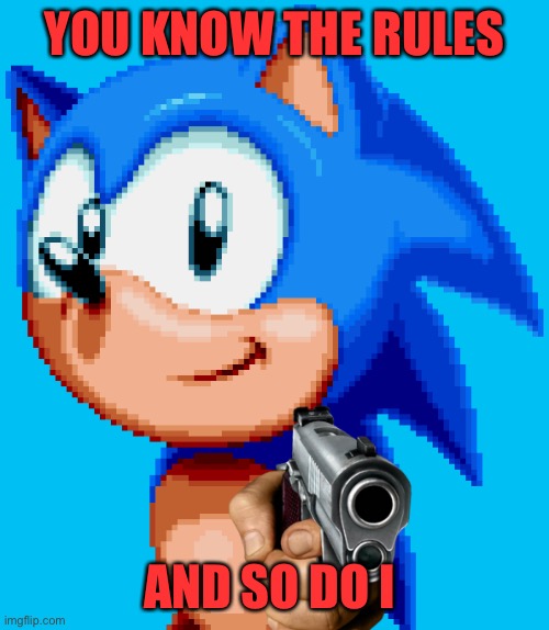 Sonic-rolled | YOU KNOW THE RULES; AND SO DO I | image tagged in sonic with a gun,sonic the hedgehog,sonic | made w/ Imgflip meme maker