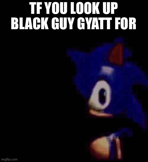 tf | TF YOU LOOK UP BLACK GUY GYATT FOR | image tagged in sonic stares | made w/ Imgflip meme maker