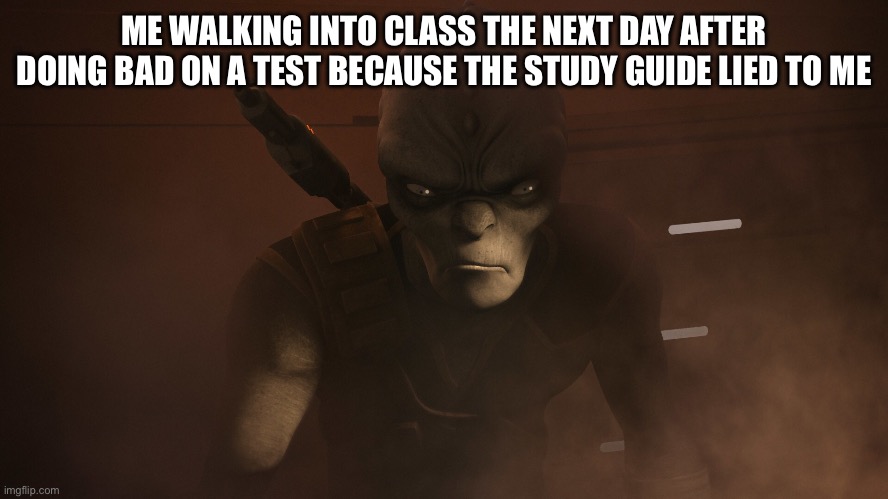 Lies | ME WALKING INTO CLASS THE NEXT DAY AFTER DOING BAD ON A TEST BECAUSE THE STUDY GUIDE LIED TO ME | image tagged in funny,star wars | made w/ Imgflip meme maker