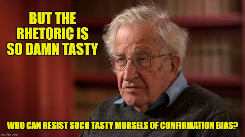 Noam Chomsky | BUT THE RHETORIC IS SO DAMN TASTY WHO CAN RESIST SUCH TASTY MORSELS OF CONFIRMATION BIAS? | image tagged in noam chomsky | made w/ Imgflip meme maker