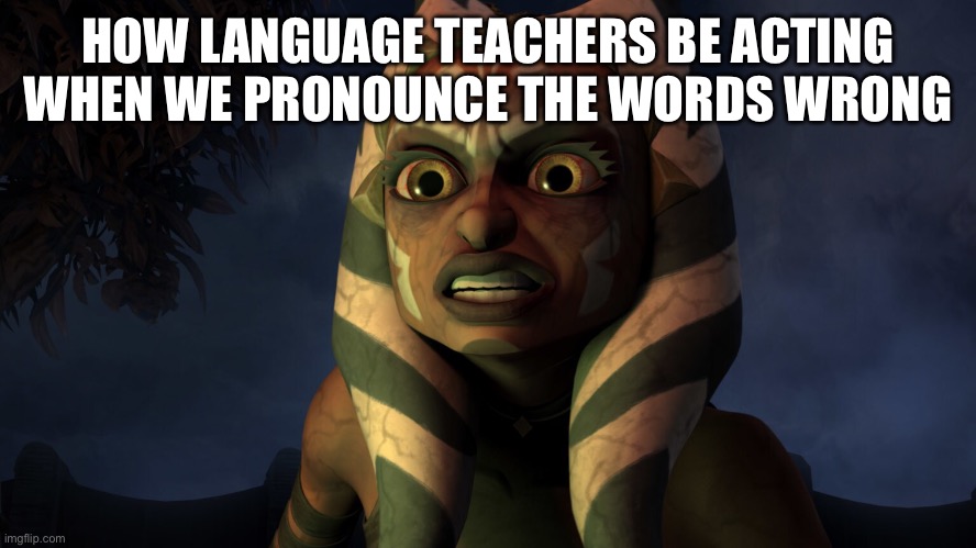 Language teachers | HOW LANGUAGE TEACHERS BE ACTING WHEN WE PRONOUNCE THE WORDS WRONG | image tagged in funny,star wars | made w/ Imgflip meme maker