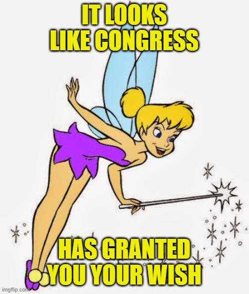 Tinkerbell | IT LOOKS LIKE CONGRESS HAS GRANTED YOU YOUR WISH | image tagged in tinkerbell | made w/ Imgflip meme maker