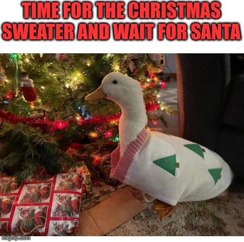 MAYBE HE'LL BRING YOU AN INDOOR POOL | TIME FOR THE CHRISTMAS SWEATER AND WAIT FOR SANTA | image tagged in ducks,christmas tree | made w/ Imgflip meme maker