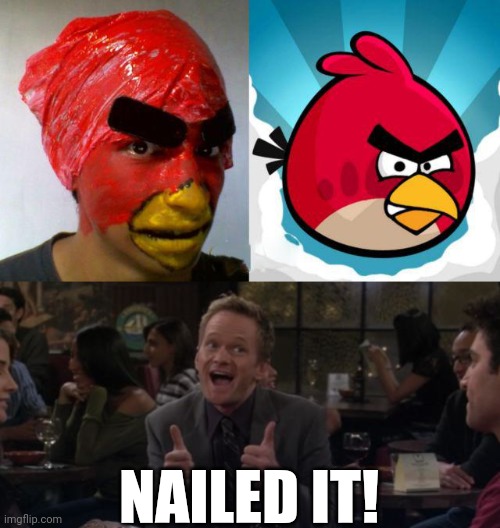 COSPLAY ON A BUDGET | NAILED IT! | image tagged in memes,barney stinson win,cosplay,cosplay fail,angry birds | made w/ Imgflip meme maker