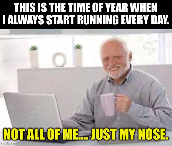 Running | THIS IS THE TIME OF YEAR WHEN I ALWAYS START RUNNING EVERY DAY. NOT ALL OF ME…. JUST MY NOSE. | image tagged in harold | made w/ Imgflip meme maker