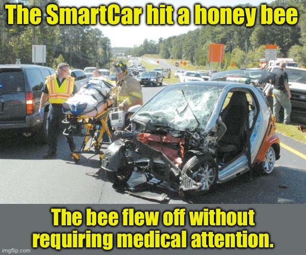 Smart? | The SmartCar hit a honey bee; The bee flew off without requiring medical attention. | image tagged in smart car wreck | made w/ Imgflip meme maker