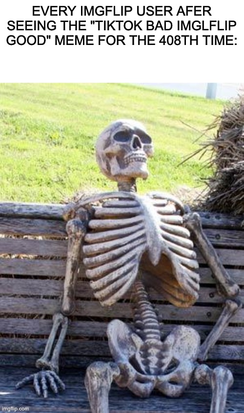 don't we already get it? | EVERY IMGFLIP USER AFER SEEING THE "TIKTOK BAD IMGLFLIP GOOD" MEME FOR THE 408TH TIME: | image tagged in memes,waiting skeleton | made w/ Imgflip meme maker