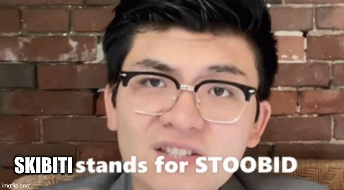Stoobid Steven he | SKIBITI | image tagged in stoobid steven he | made w/ Imgflip meme maker