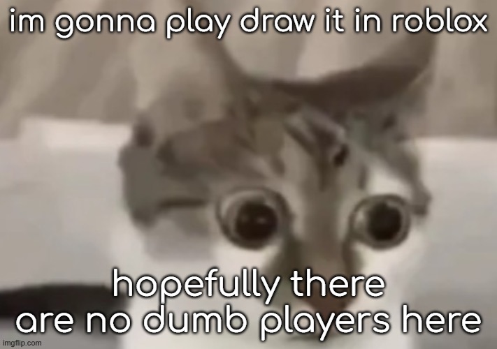 bombastic side eye cat | im gonna play draw it in roblox; hopefully there are no dumb players here | image tagged in bombastic side eye cat | made w/ Imgflip meme maker