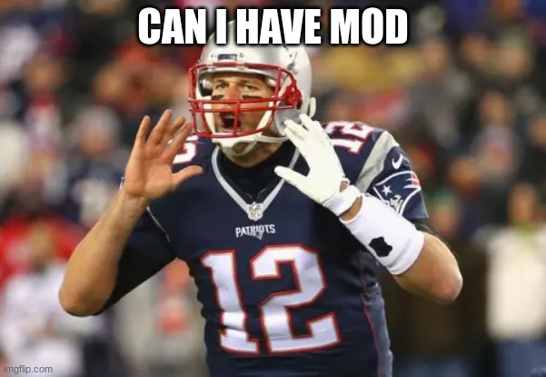 CAN I HAVE MOD | image tagged in tom brady | made w/ Imgflip meme maker