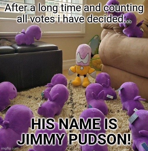 Now just gotta wait for Christmas for Jimmy Pudson to arrive! | After a long time and counting all votes i have decided... HIS NAME IS JIMMY PUDSON! | made w/ Imgflip meme maker