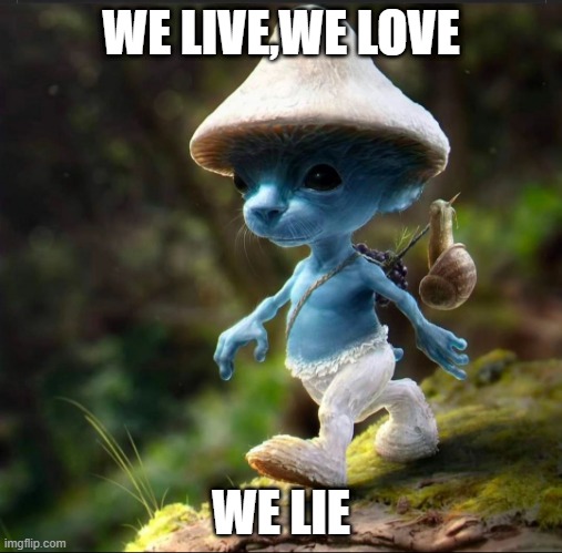 Blue Smurf Cat | WE LIVE,WE LOVE; WE LIE | image tagged in blue smurf cat | made w/ Imgflip meme maker