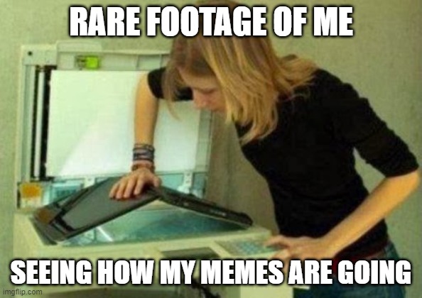 idk what to put here | RARE FOOTAGE OF ME; SEEING HOW MY MEMES ARE GOING | image tagged in blonde computer scan,memes | made w/ Imgflip meme maker
