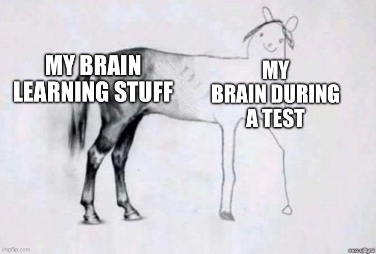 Horse Drawing | MY BRAIN LEARNING STUFF; MY BRAIN DURING A TEST | image tagged in horse drawing | made w/ Imgflip meme maker