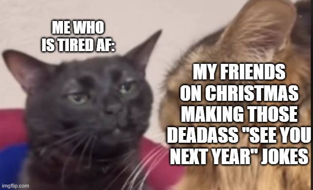 please stop... | ME WHO IS TIRED AF:; MY FRIENDS ON CHRISTMAS MAKING THOSE DEADASS "SEE YOU NEXT YEAR" JOKES | image tagged in black cat zoning out | made w/ Imgflip meme maker