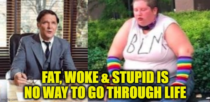 Good advice | FAT, WOKE & STUPID IS
NO WAY TO GO THROUGH LIFE | image tagged in woke | made w/ Imgflip meme maker