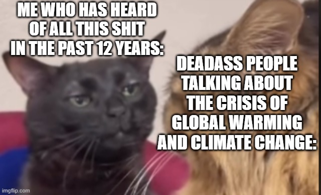 like ffs | ME WHO HAS HEARD OF ALL THIS SHIT IN THE PAST 12 YEARS:; DEADASS PEOPLE TALKING ABOUT THE CRISIS OF GLOBAL WARMING AND CLIMATE CHANGE: | image tagged in black cat zoning out | made w/ Imgflip meme maker