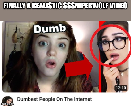 bro | FINALLY A REALISTIC SSSNIPERWOLF VIDEO | image tagged in why are you reading the tags,why are you gay | made w/ Imgflip meme maker