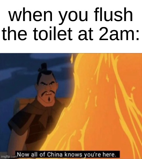 ikr | when you flush the toilet at 2am: | image tagged in now all of china knows you're here,memes | made w/ Imgflip meme maker
