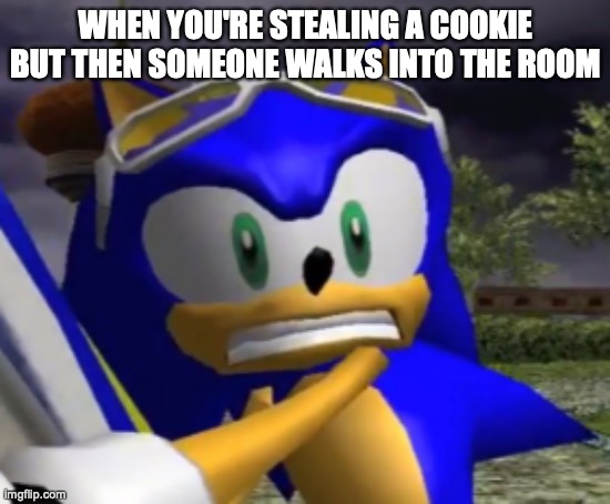WHEN YOU'RE STEALING A COOKIE BUT THEN SOMEONE WALKS INTO THE ROOM | image tagged in sonic the hedgehog | made w/ Imgflip meme maker