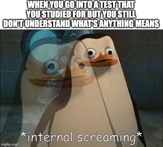 nothing you studied for is on the test | WHEN YOU GO INTO A TEST THAT YOU STUDIED FOR BUT YOU STILL DON'T UNDERSTAND WHAT'S ANYTHING MEANS | image tagged in private internal screaming | made w/ Imgflip meme maker