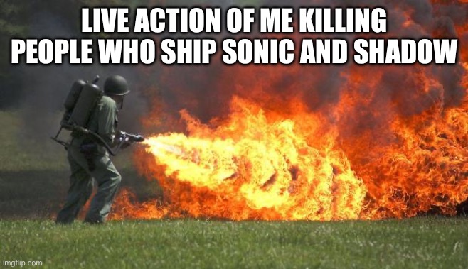 flamethrower | LIVE ACTION OF ME KILLING PEOPLE WHO SHIP SONIC AND SHADOW | image tagged in flamethrower | made w/ Imgflip meme maker