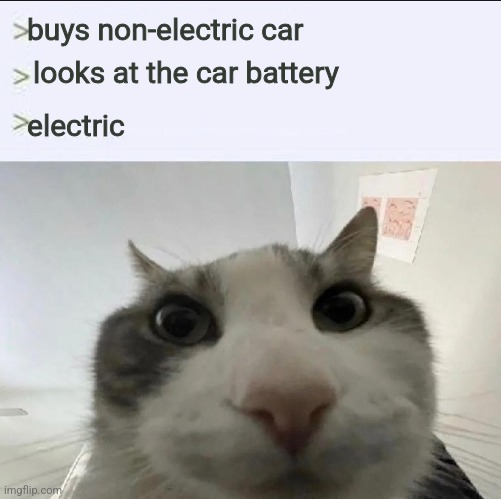 Cat looks inside | buys non-electric car; looks at the car battery; electric | image tagged in cat looks inside | made w/ Imgflip meme maker