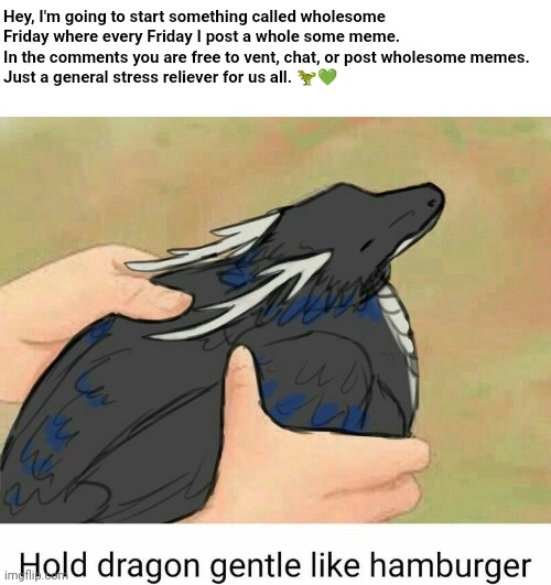 Hold dragon gentle like hamburger | Hey, I'm going to start something called wholesome Friday where every Friday I post a whole some meme. In the comments you are free to vent, chat, or post wholesome memes. 
Just a general stress reliever for us all. 🦖💚 | image tagged in hold dragon gentle like hamburger | made w/ Imgflip meme maker