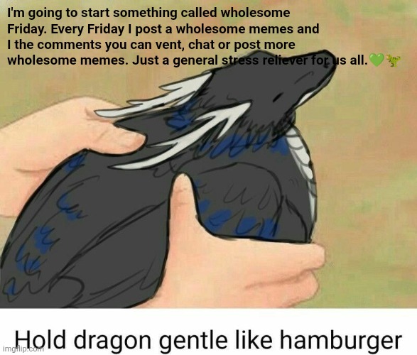 Hold dragon gentle like hamburger | I'm going to start something called wholesome Friday. Every Friday I post a wholesome memes and I the comments you can vent, chat or post more wholesome memes. Just a general stress reliever for us all.💚🦖 | image tagged in hold dragon gentle like hamburger | made w/ Imgflip meme maker