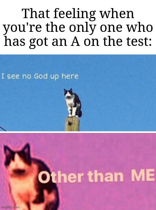 "That's right! I win!" | That feeling when you're the only one who has got an A on the test: | image tagged in memes,funny,school,oh wow are you actually reading these tags | made w/ Imgflip meme maker