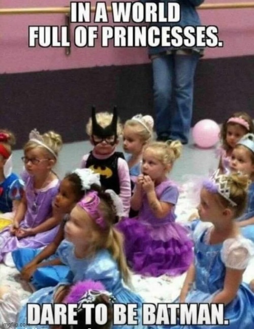 lol | IN A WORLD OF PRINCESSES. DARE TO BE BATMAN. | image tagged in repost from quora | made w/ Imgflip meme maker