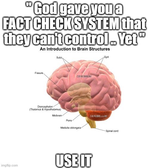 Use your brain, do your own research.. Fact checks sites are controled by the people who hate you. | " God gave you a FACT CHECK SYSTEM that they can't control .. Yet "; USE IT | image tagged in democrats,liars,psychopaths and serial killers | made w/ Imgflip meme maker