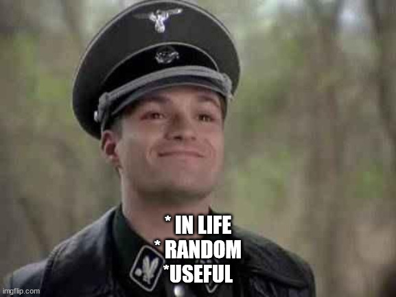 grammar nazi | * IN LIFE
* RANDOM
*USEFUL | image tagged in grammar nazi | made w/ Imgflip meme maker