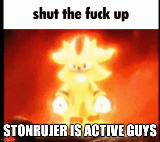 super shadow stfu | STONRUJER IS ACTIVE GUYS | image tagged in super shadow stfu | made w/ Imgflip meme maker