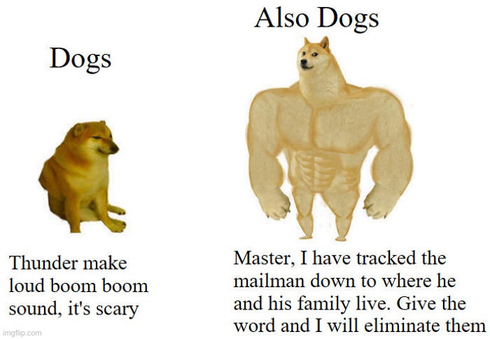 dogs: YOU ARE MY MASTER | image tagged in memes,funny,buff doge vs cheems,dogs,doge,fun stream | made w/ Imgflip meme maker