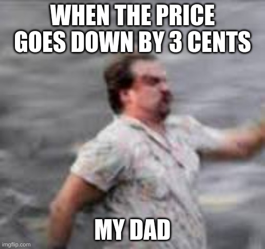 hi | WHEN THE PRICE GOES DOWN BY 3 CENTS; MY DAD | image tagged in hi,dad joke | made w/ Imgflip meme maker
