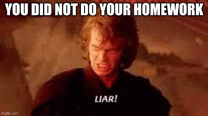 Anakin Liar | YOU DID NOT DO YOUR HOMEWORK | image tagged in anakin liar | made w/ Imgflip meme maker