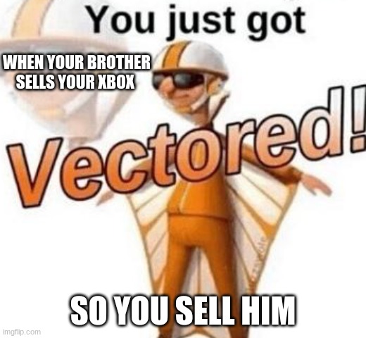 You just got vectored | WHEN YOUR BROTHER SELLS YOUR XBOX; SO YOU SELL HIM | image tagged in you just got vectored | made w/ Imgflip meme maker