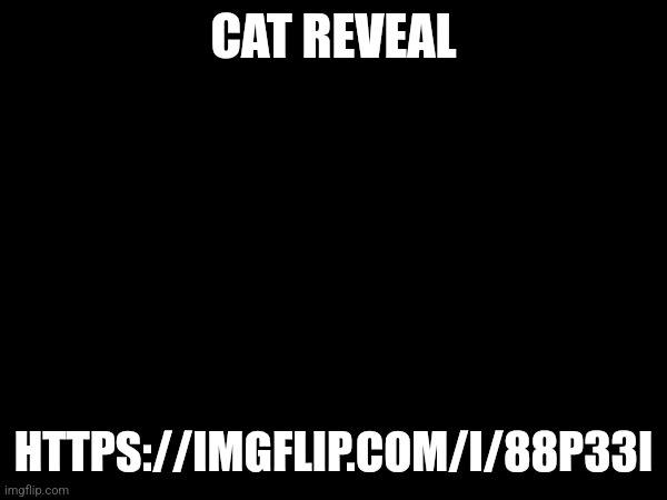 CAT REVEAL; HTTPS://IMGFLIP.COM/I/88P33I | made w/ Imgflip meme maker