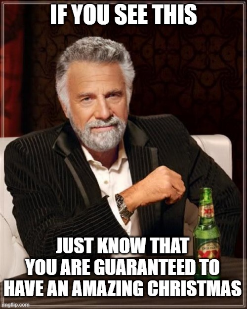 Indeed :) | IF YOU SEE THIS; JUST KNOW THAT YOU ARE GUARANTEED TO HAVE AN AMAZING CHRISTMAS | image tagged in memes,the most interesting man in the world | made w/ Imgflip meme maker