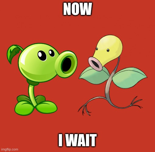 Peashooter and Bellsprout | NOW I WAIT | image tagged in peashooter and bellsprout | made w/ Imgflip meme maker