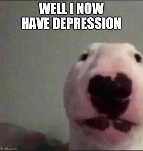 sock dog | WELL I NOW HAVE DEPRESSION | image tagged in sock dog | made w/ Imgflip meme maker