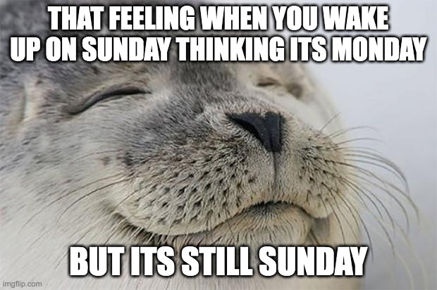 Satisfied Seal Meme | THAT FEELING WHEN YOU WAKE UP ON SUNDAY THINKING ITS MONDAY; BUT ITS STILL SUNDAY | image tagged in memes,satisfied seal | made w/ Imgflip meme maker
