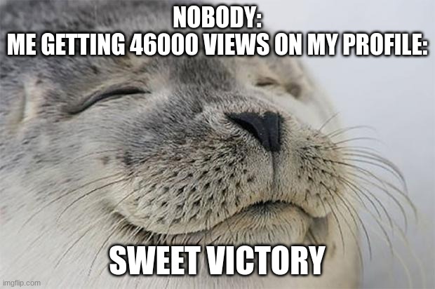 ahh yes | NOBODY:
ME GETTING 46000 VIEWS ON MY PROFILE:; SWEET VICTORY | image tagged in memes,satisfied seal,haha,icou | made w/ Imgflip meme maker