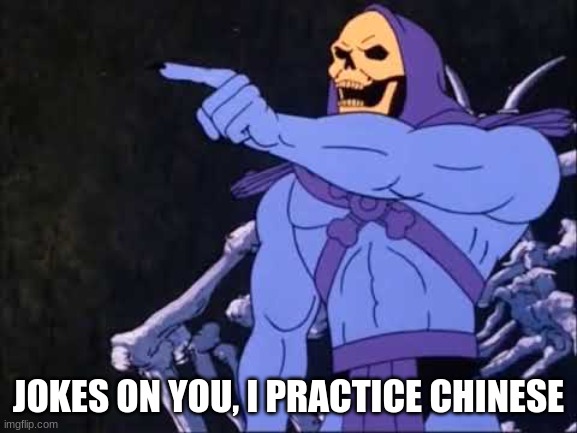 Skeletor | JOKES ON YOU, I PRACTICE CHINESE | image tagged in skeletor | made w/ Imgflip meme maker