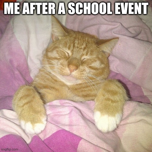 Eepy | ME AFTER A SCHOOL EVENT | image tagged in eepy | made w/ Imgflip meme maker